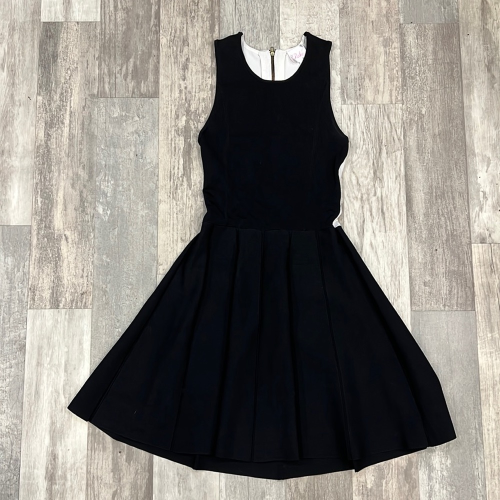 Parker skater dress